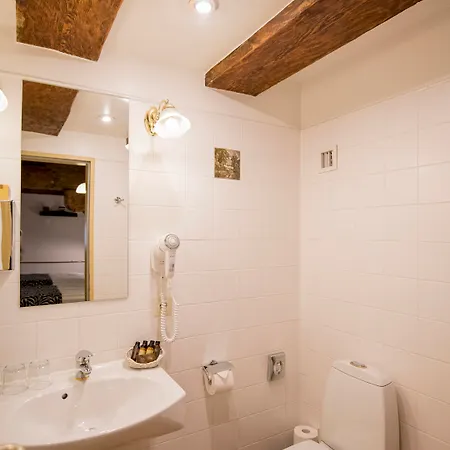 Hotel Gutenbergs 4*