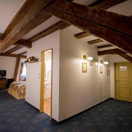 Gutenbergs Hotel 4*