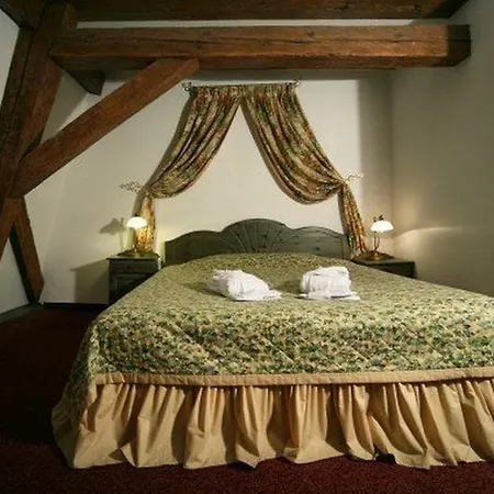 Hotel Gutenbergs 4*